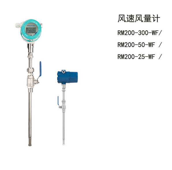 RM200-300-WF/RM200-50-WF/RM200-25-WFL(fng)L(fng)Ӌ(j)