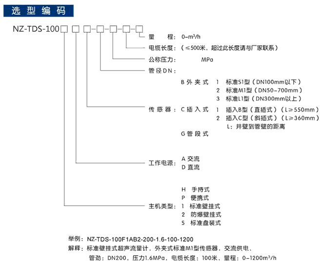 TDS-100P便攜式超聲波流量計(jì)